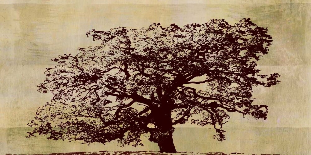 Satori Ii Poster Print by Sia Aryai - Item # VARPDXAR110