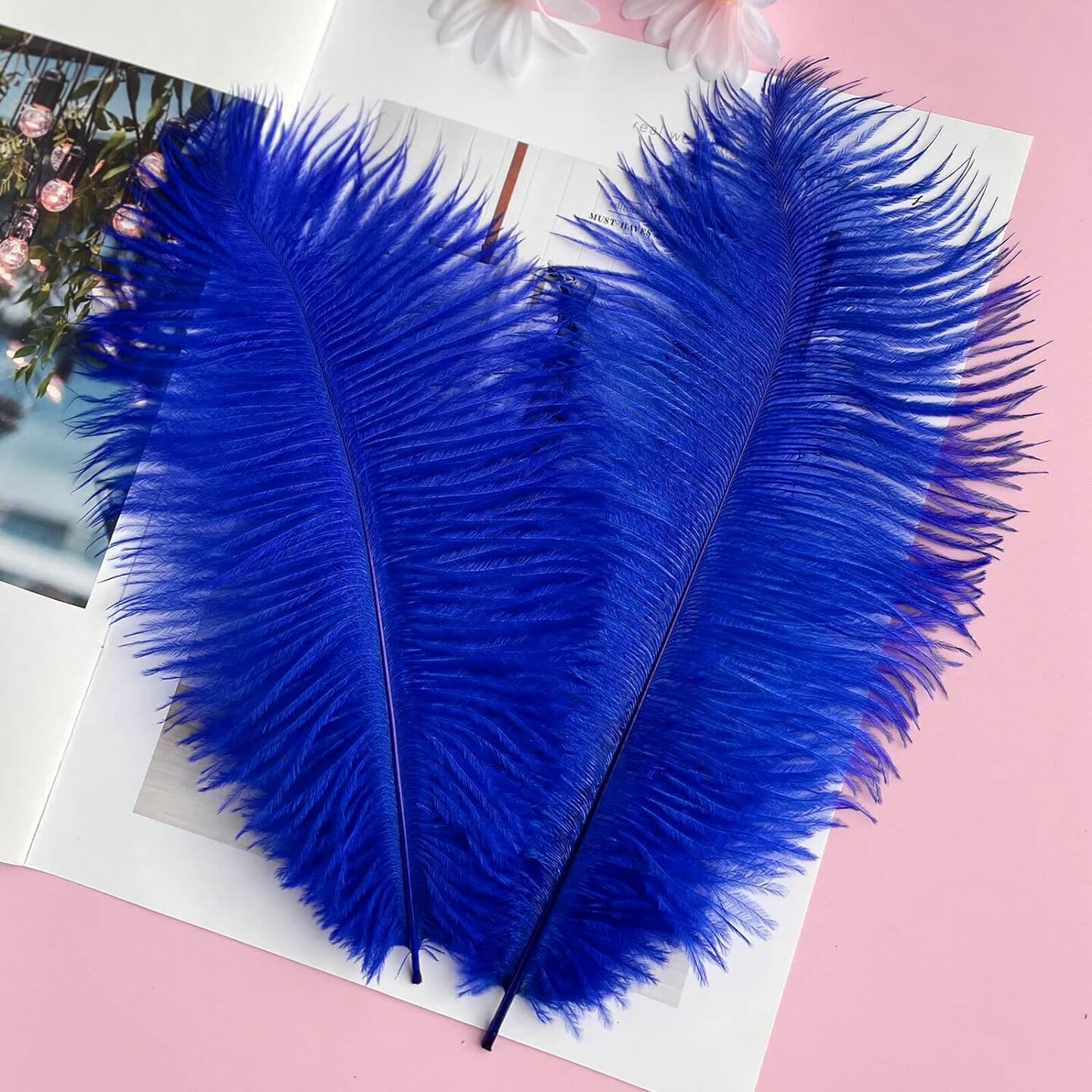 Stylish Natural Feathers