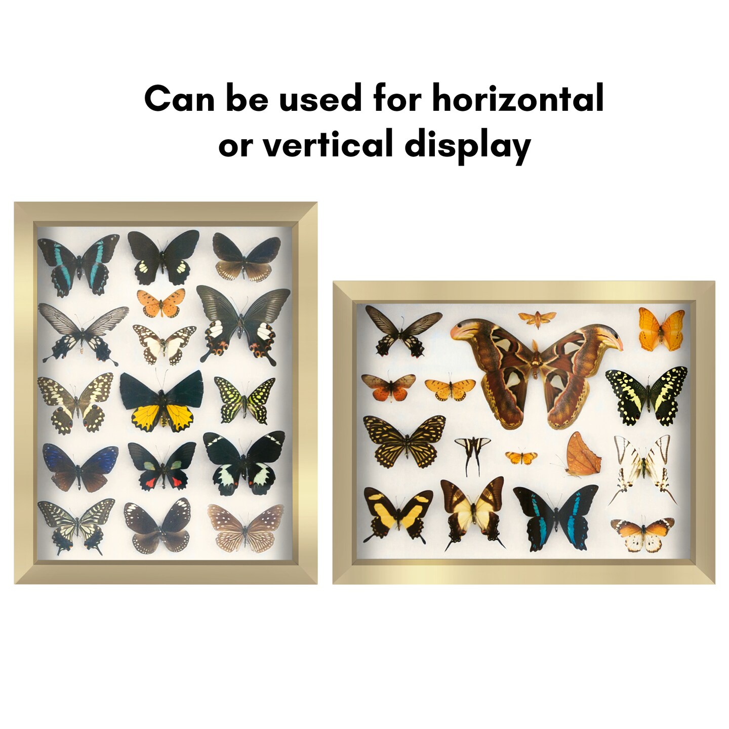 Americanflat Shadow Box Frame - 1.5 Interior Depth for Memorabilia - Display Case for Showcasing Souvenirs, Awards, and Medals - Shatter Resistant Glass - Hanging Hardware