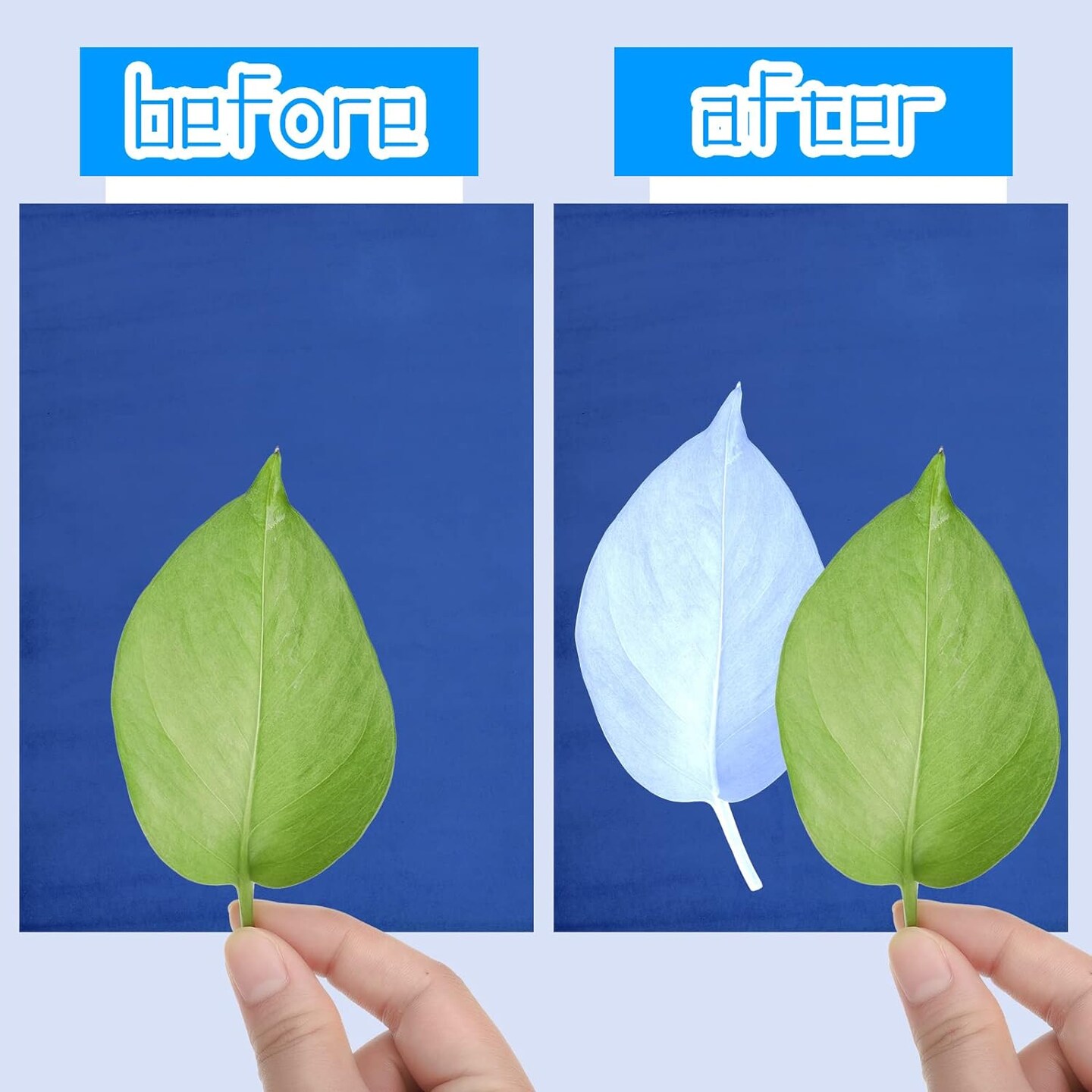 60 Sheets Cyanotype Paper Sun Print Paper Kit High Sensitive Sun Paper White Solar Activated Nature Sun Printing Kit Drawing Paper for Kids Adults Crafts DIY Project (Light Color, 5.8 x 8.3 Inch)