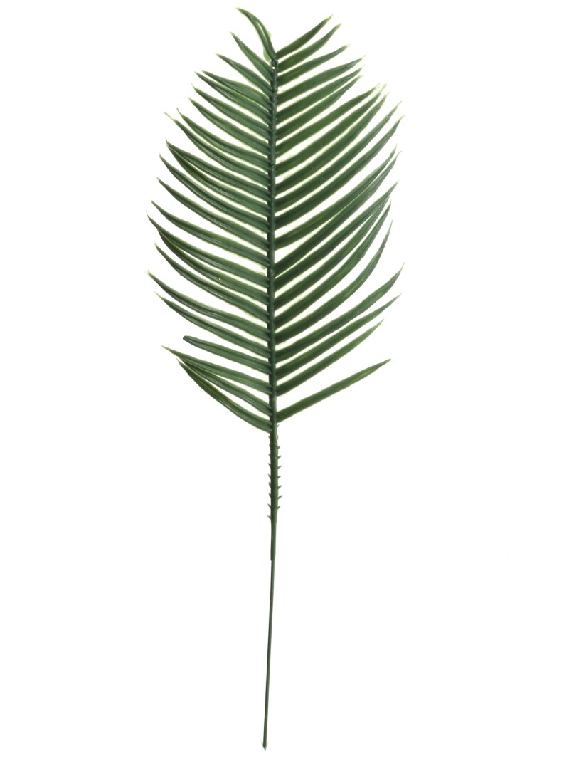 Set of 5: Plastic Green Cycus Pick | 6-Inch | Plastic Greens | Greenery Picks | Party & Event | Home & Office Decor, Floral Home by Artificial Flowers