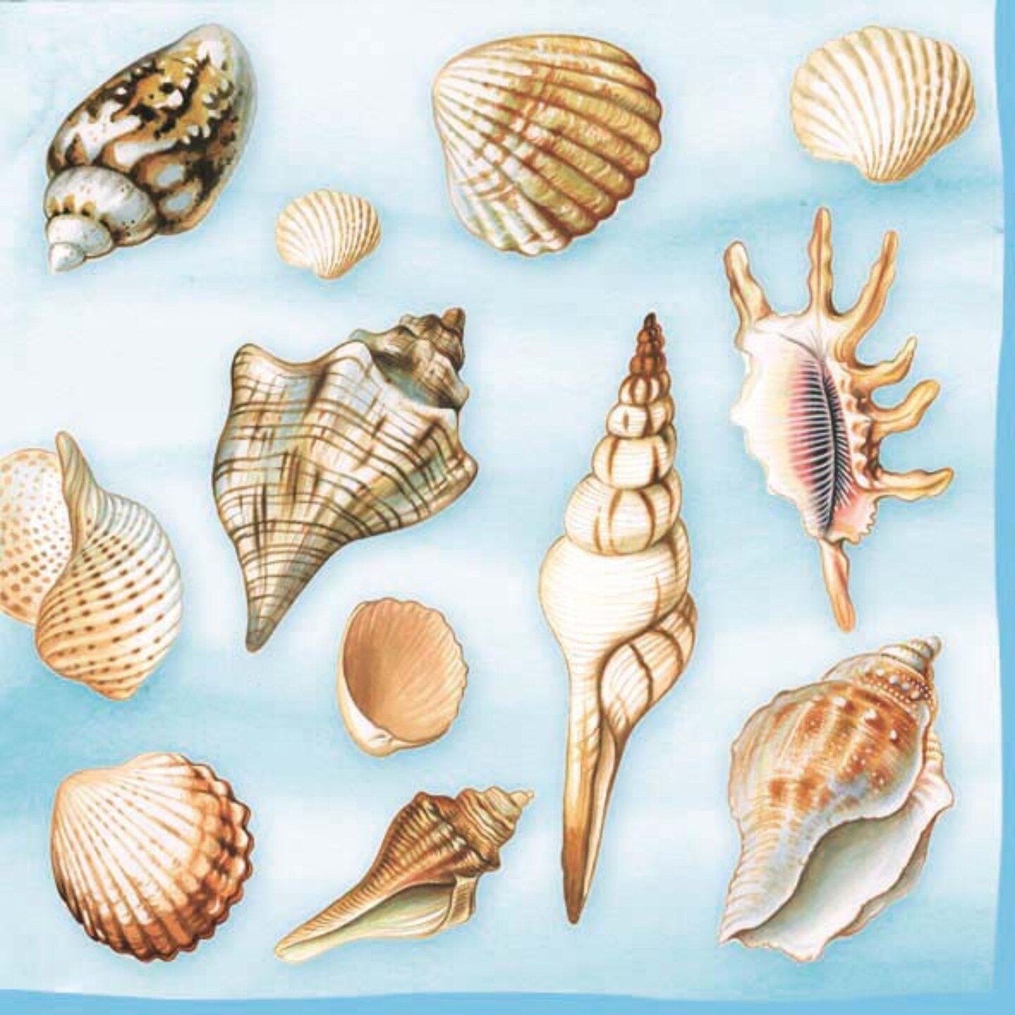 The Ribbon People Pack of 60 Sea Shells 3-Ply Lunch Napkins 6.5"