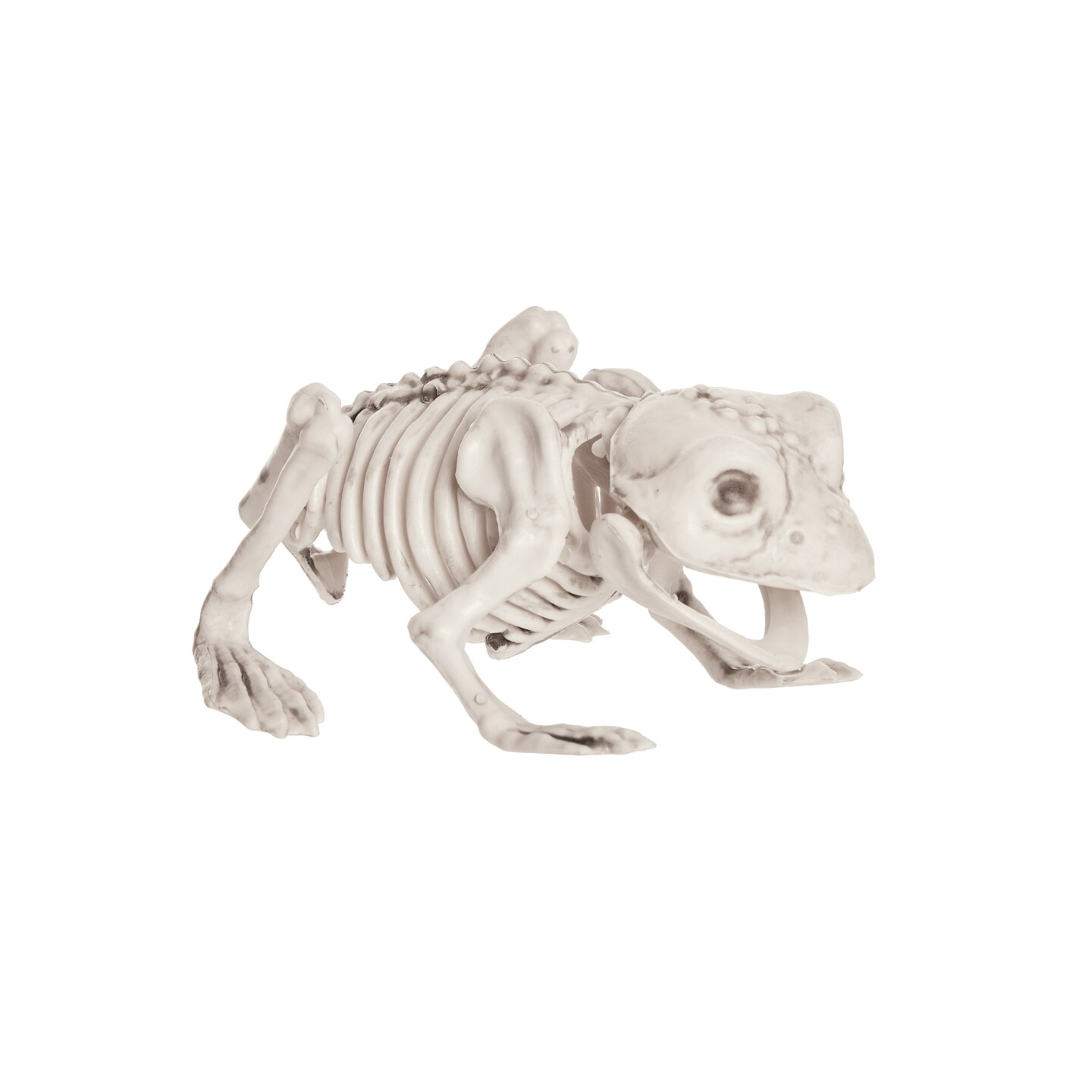Skeleton Frog Halloween Figure