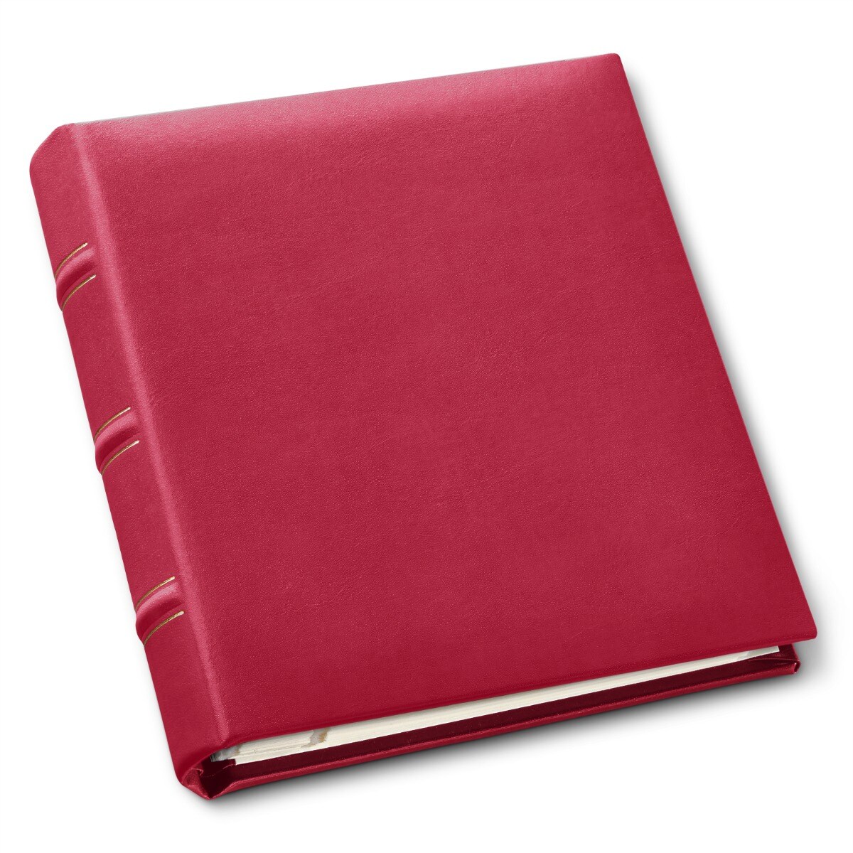 Gallery Leather Travel Photo Album Holds 4x6 Photos, 3 Ring Binder, 50 Pages for 50 Photos, Fillable, Handcrafted – 6.5” x 5.5”