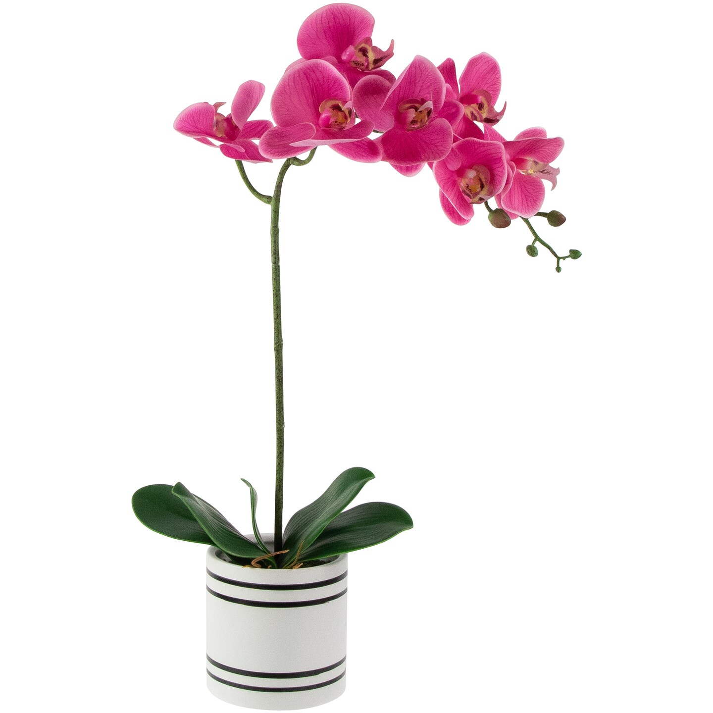 Northlight Real Touch&#x2122; Artificial Spring Orchids in a Striped Ceramic Pot - 2&#x27; - Pink