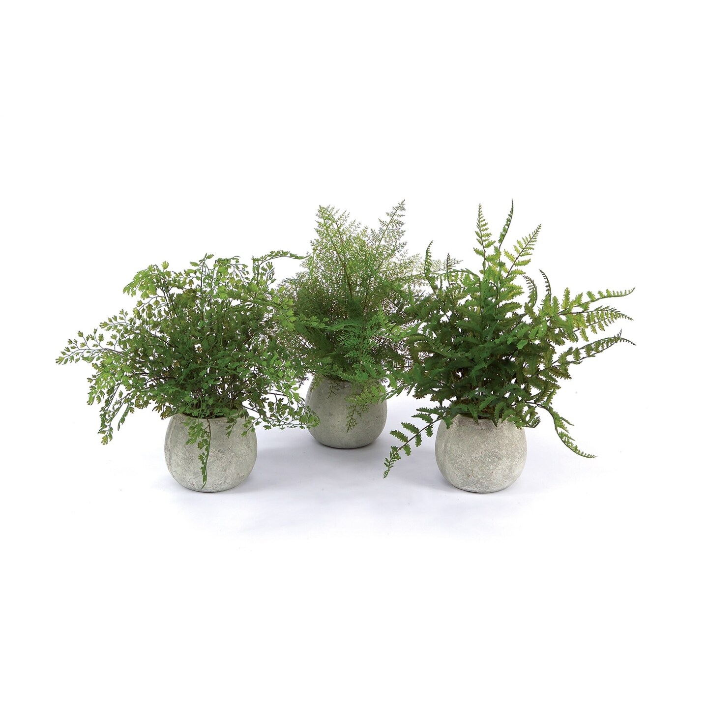 Melrose Set of 3 Potted Artificial Fern Plants 14&#x22;