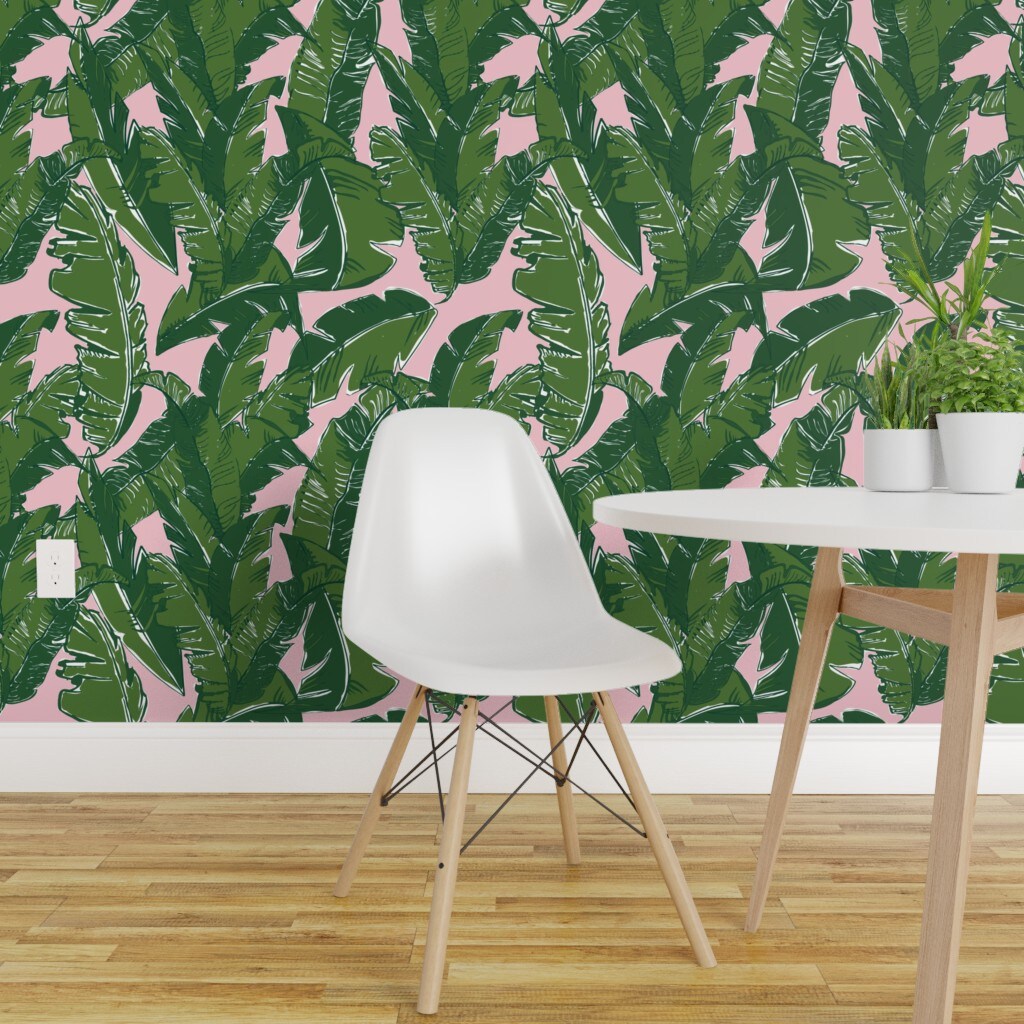 Green banana palm leaves on white wallpaper 3215  California Wallpaper