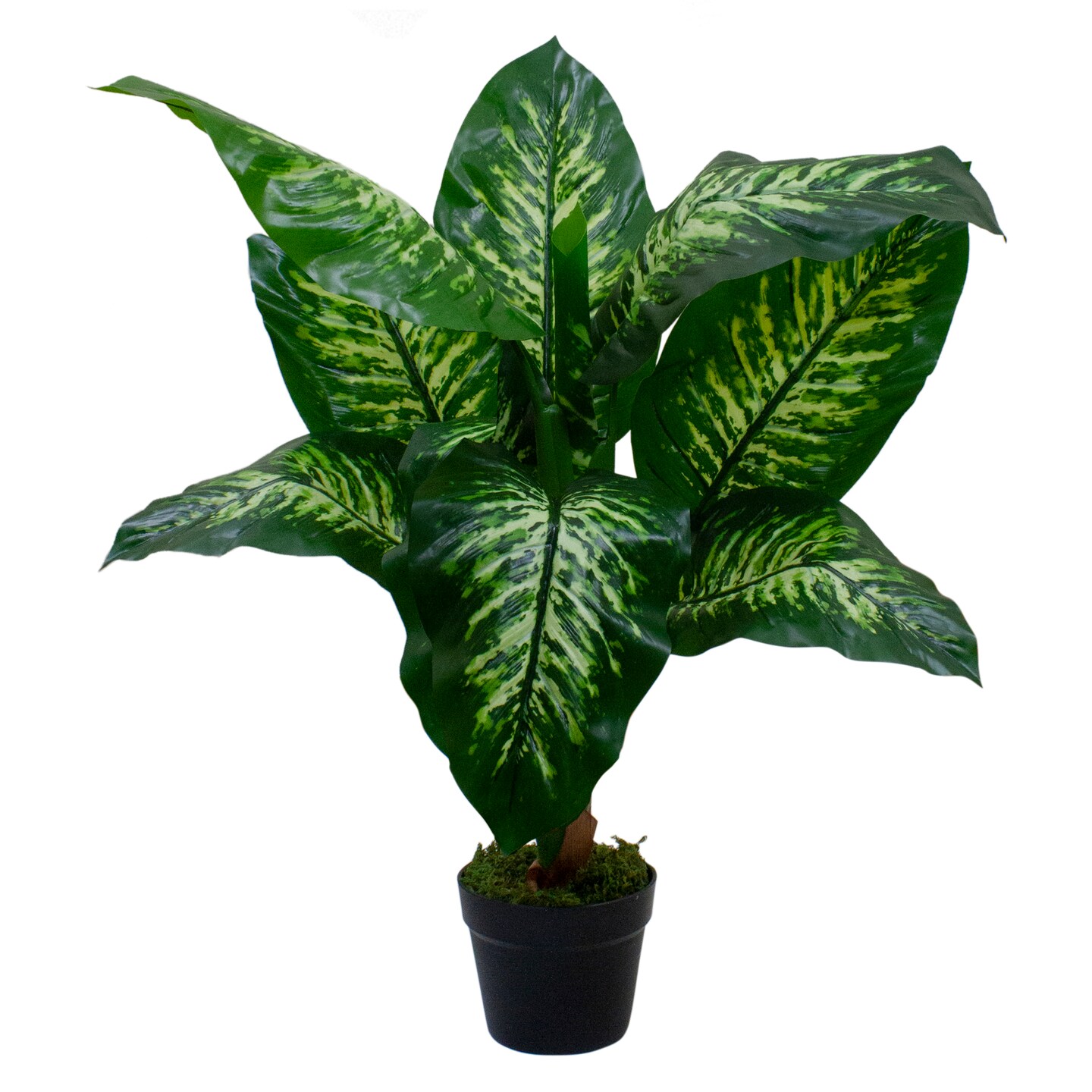 Northlight Artificial Variegated Dieffenbachia Leaf Potted Plant - 36&#x22;