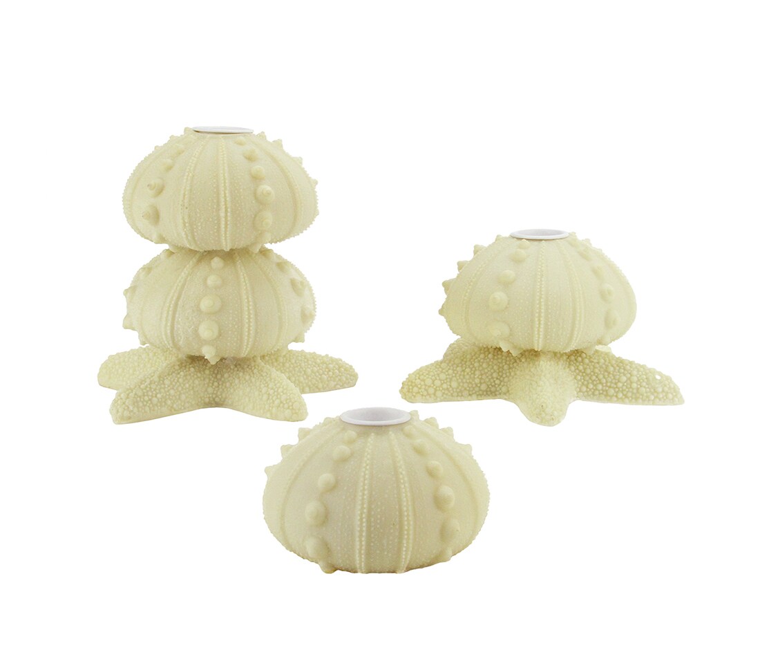 Gallerie II Set of 3 Beach Inspired Cream Star Fish Seashell Taper