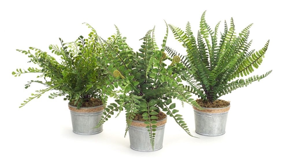 Diva At Home Pack of 3 Green Artificial Country Rustic Potted Ferns 14.5”