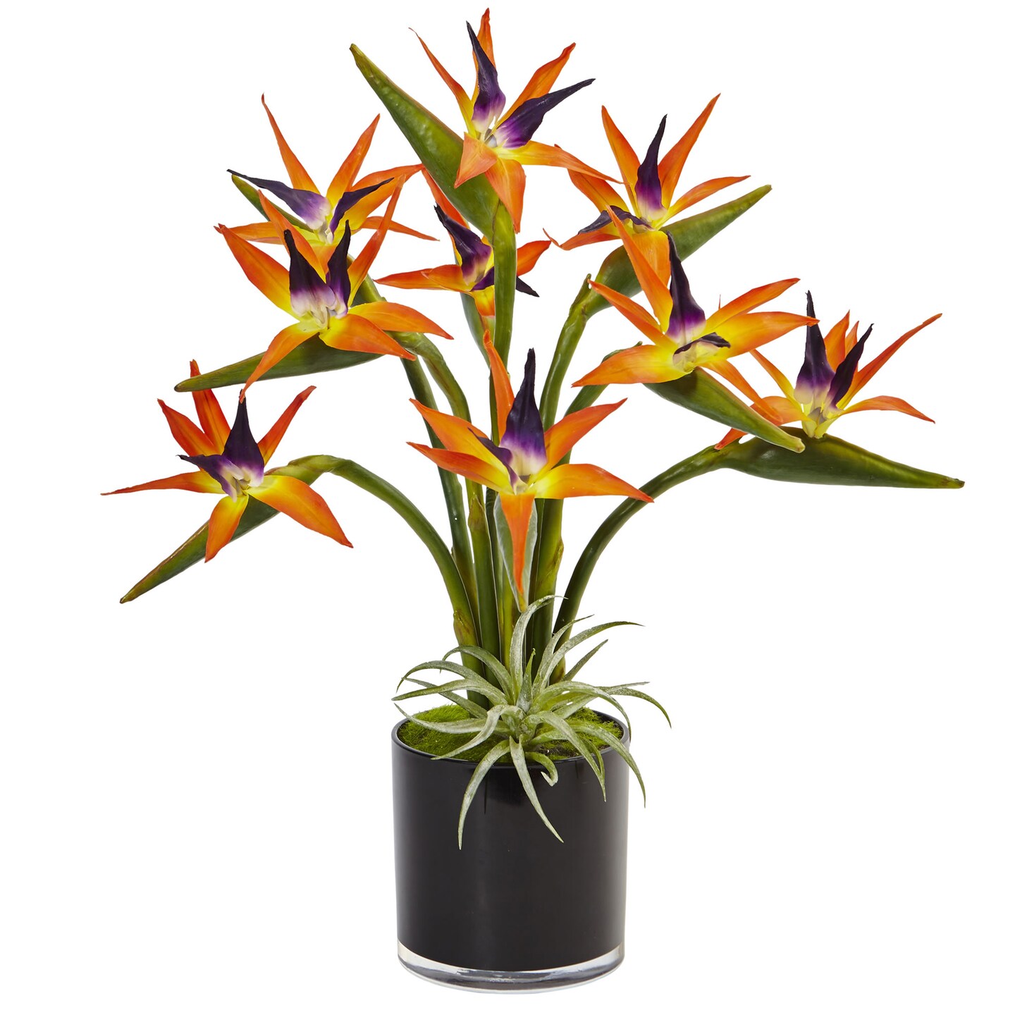 Nearly Natural 2' Artificial Bird of Paradise Silk Arrangement in Black Glossy Planter