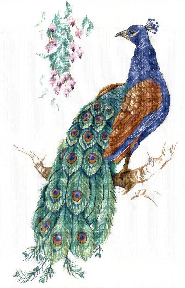 Bird of Happiness SNV-536 Counted Cross Stitch Kit