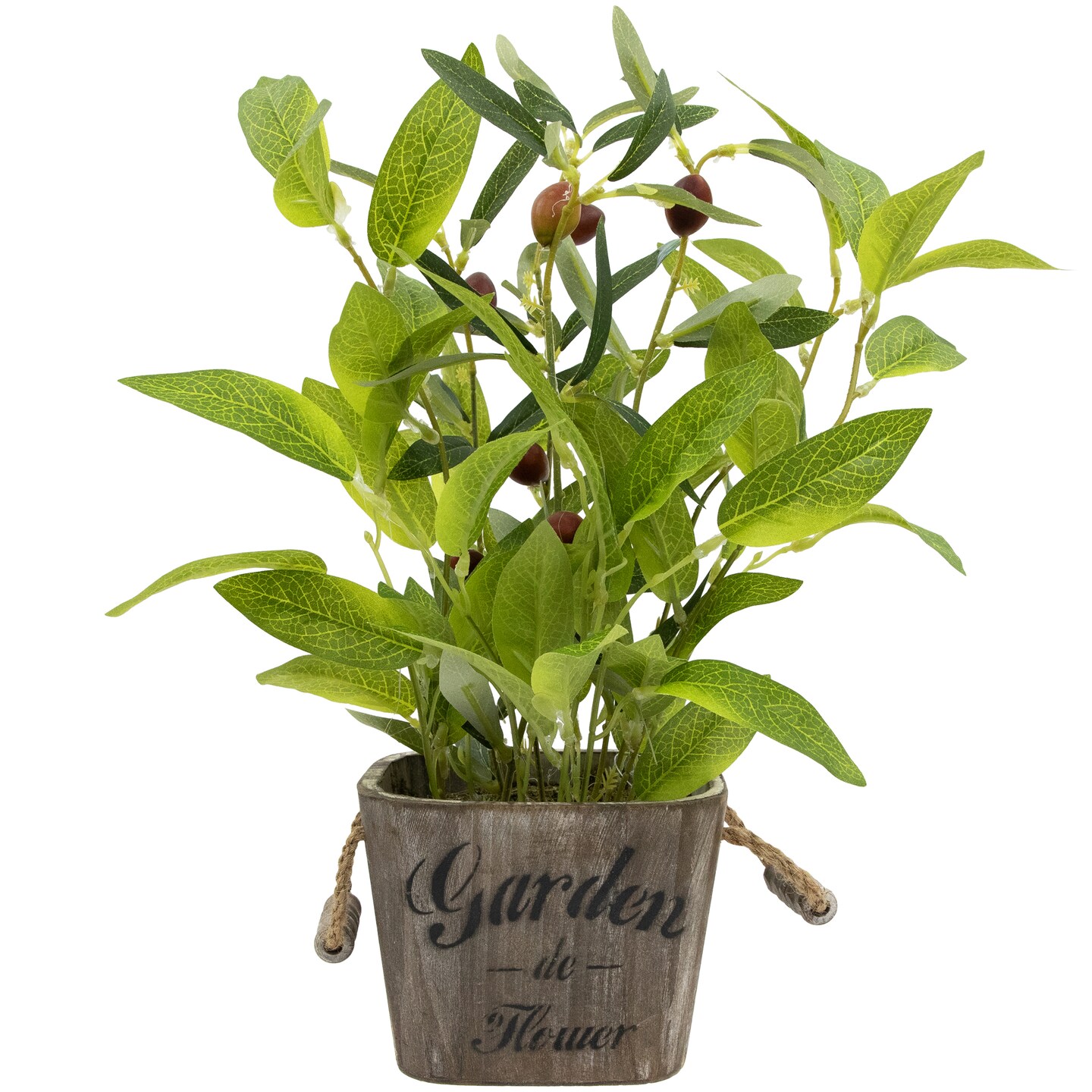 Northlight Artificial Olive Plant in Rustic Pot with Handles - 14&#x22;