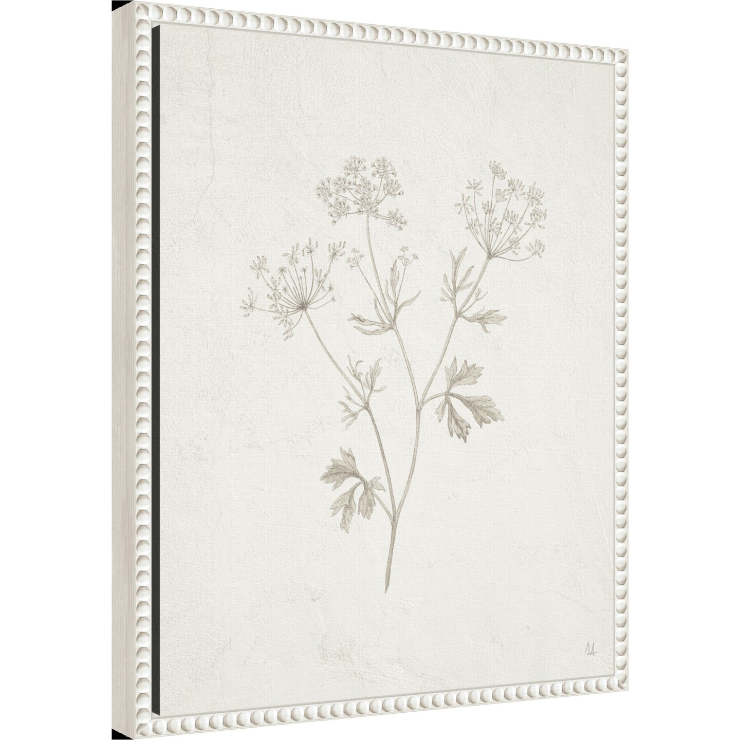 Gifts from the Meadow IV by Sarah Adams Framed Canvas Wall Art