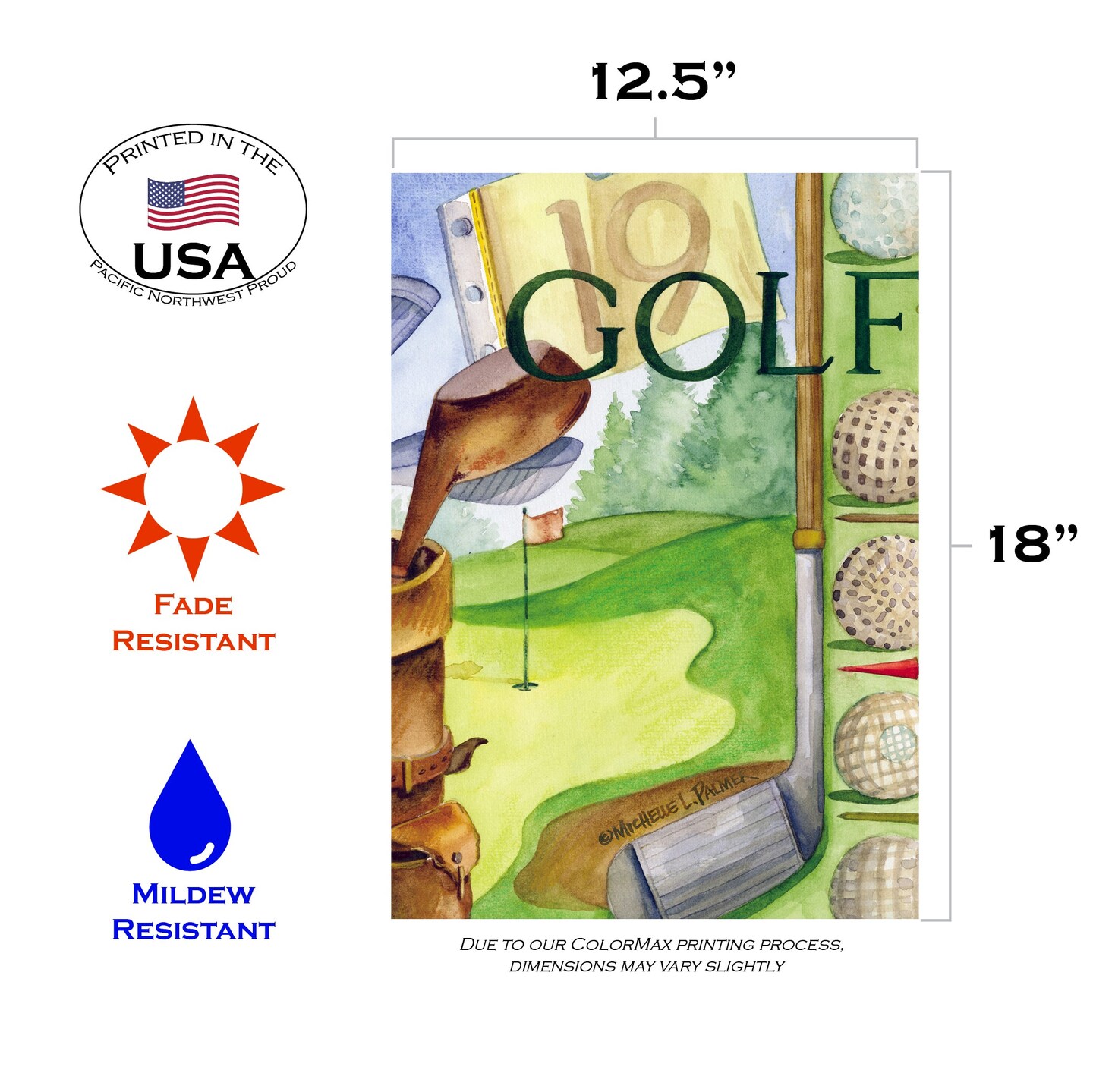 Hole in One Decorative Golf Flag
