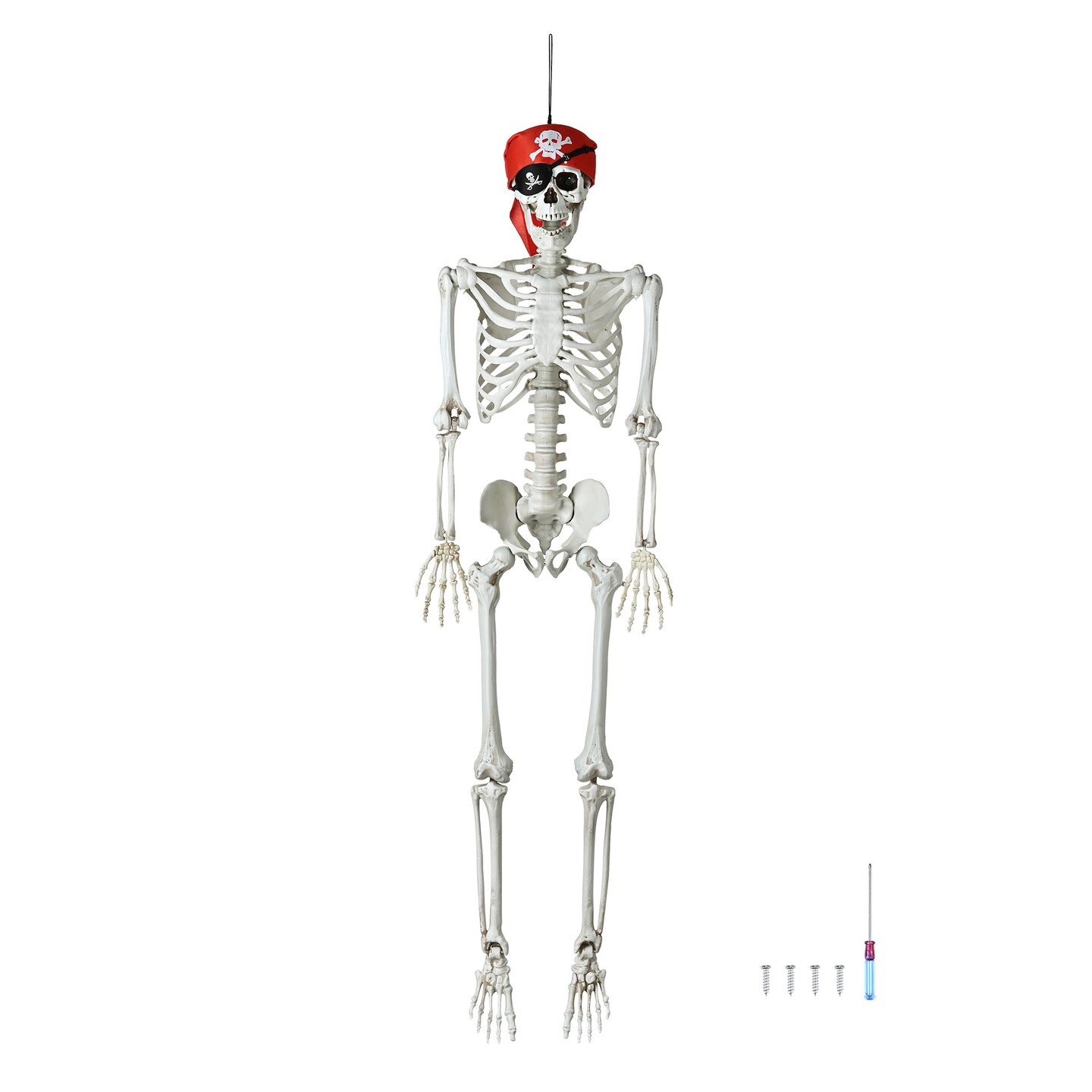 5.4 FT Tall Full Body Skeleton Halloween Decoration with crossbones head scarf and eye patch