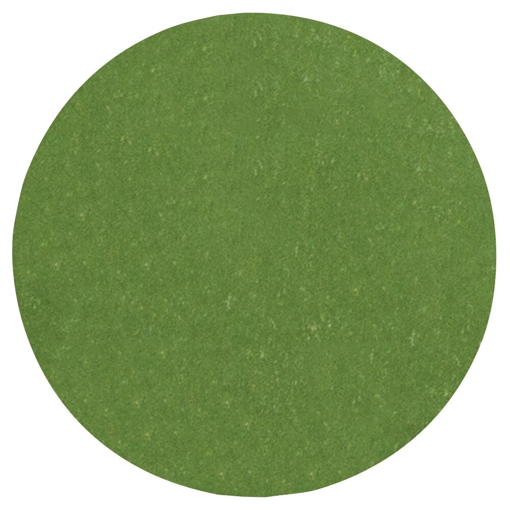 Nuvo Hybrid Ink PadSafari Green Michaels