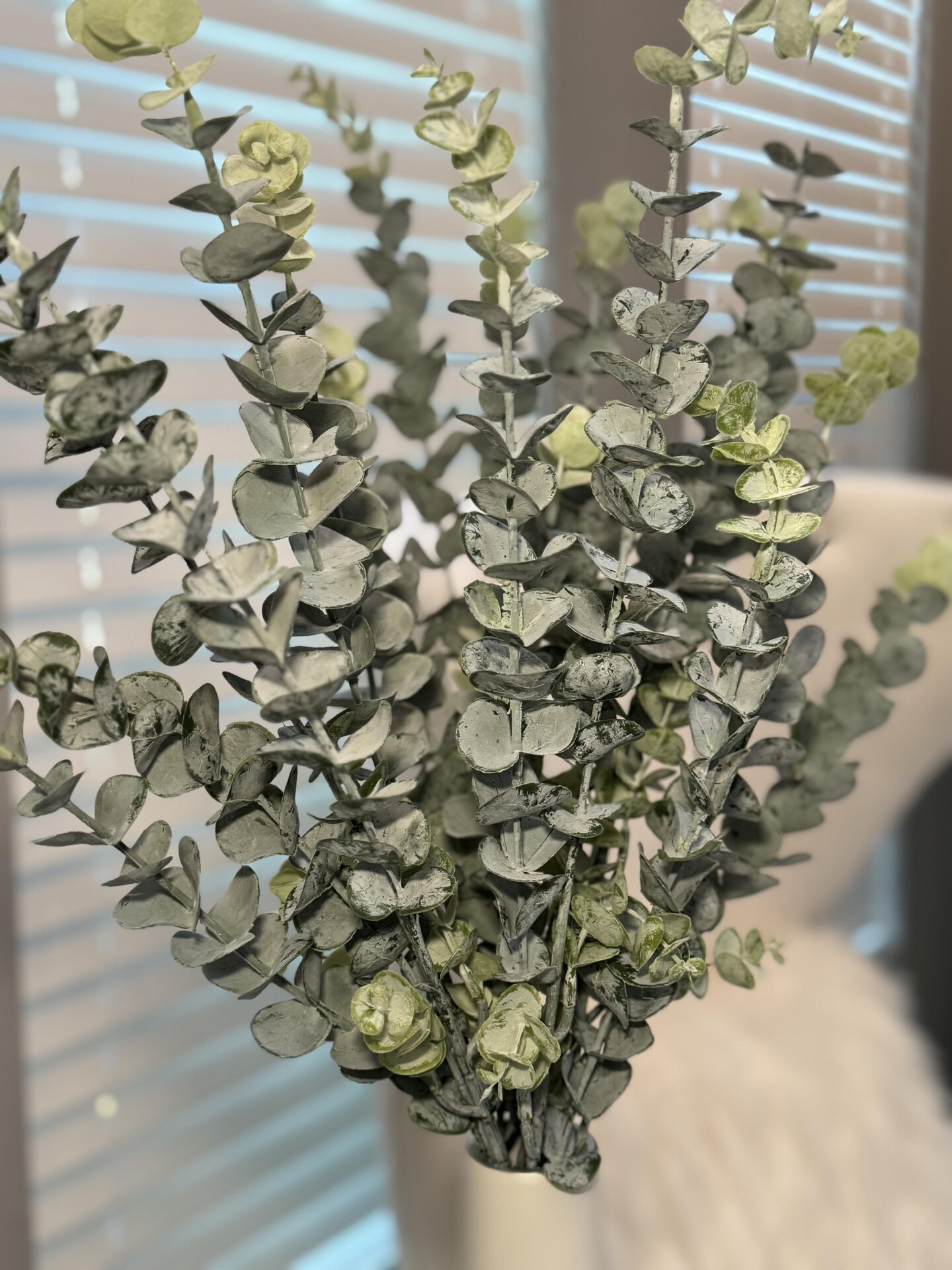 Faux Artificial Eucalyptus Branches Green Frosted Plant 30&#x22; 3 Stems