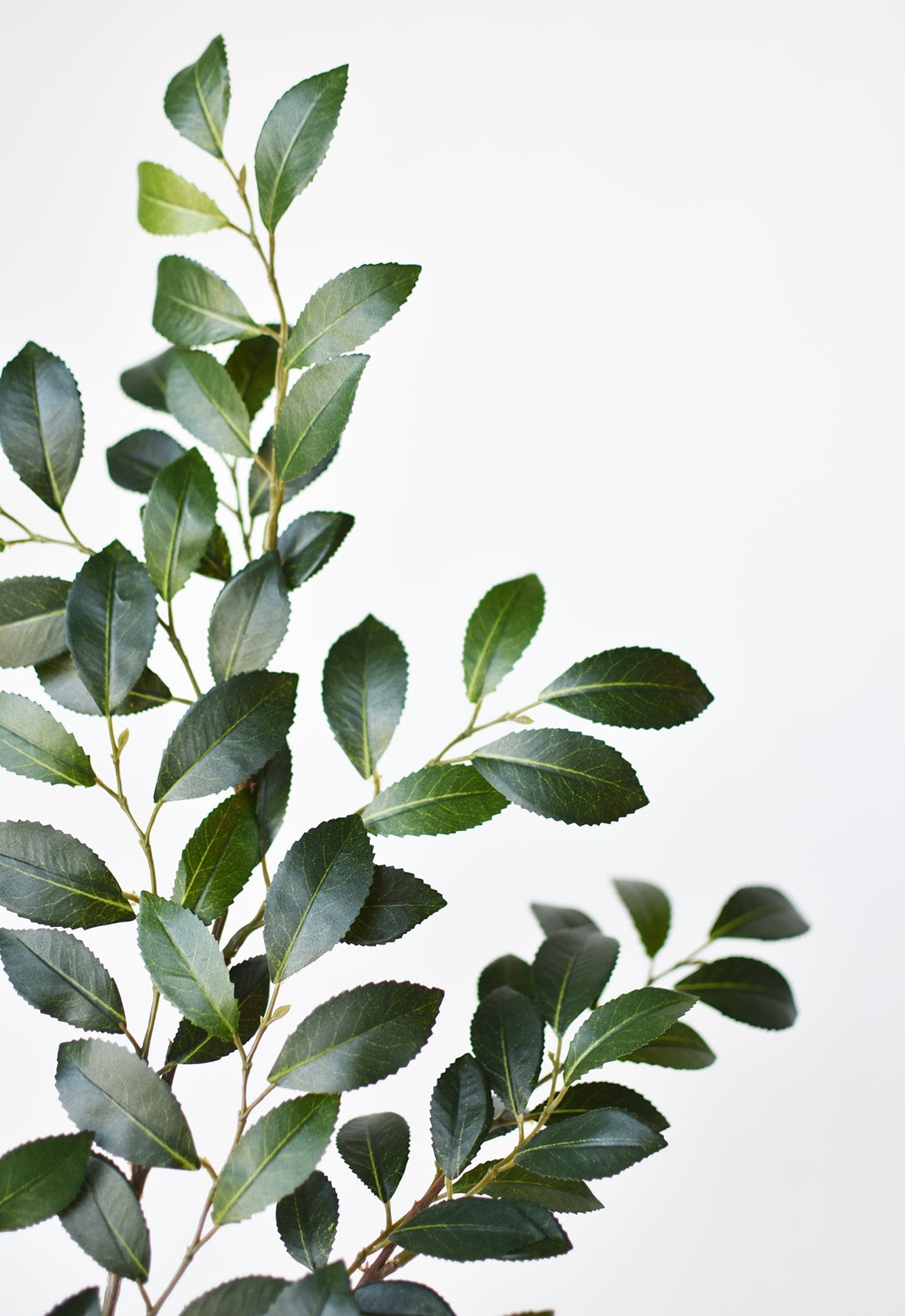 26&#x22; Faux Ruscus Leaf Stem