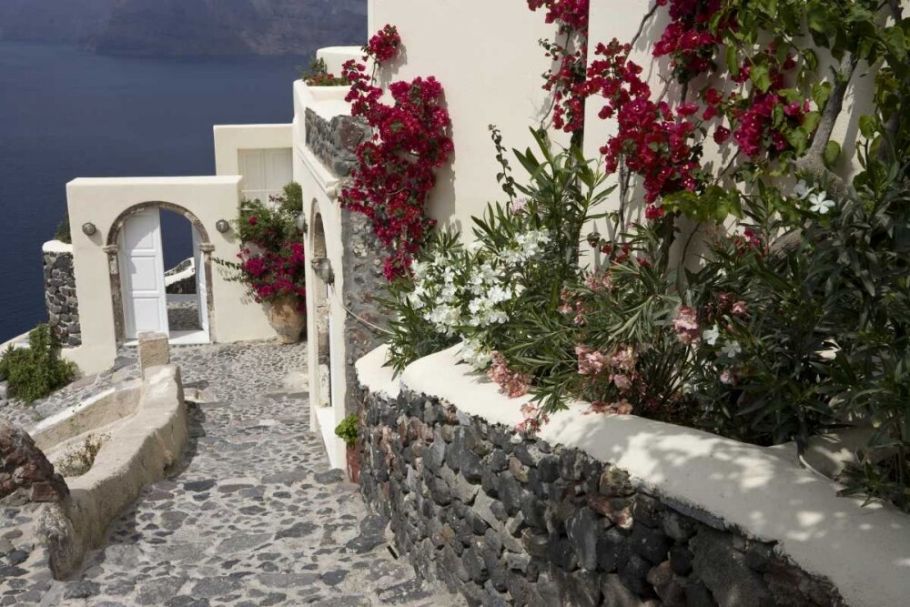 Greece, Santorini, Thira, Oia Pebbled staircase by Bill Young - Item # VARPDXEU12BJA0152