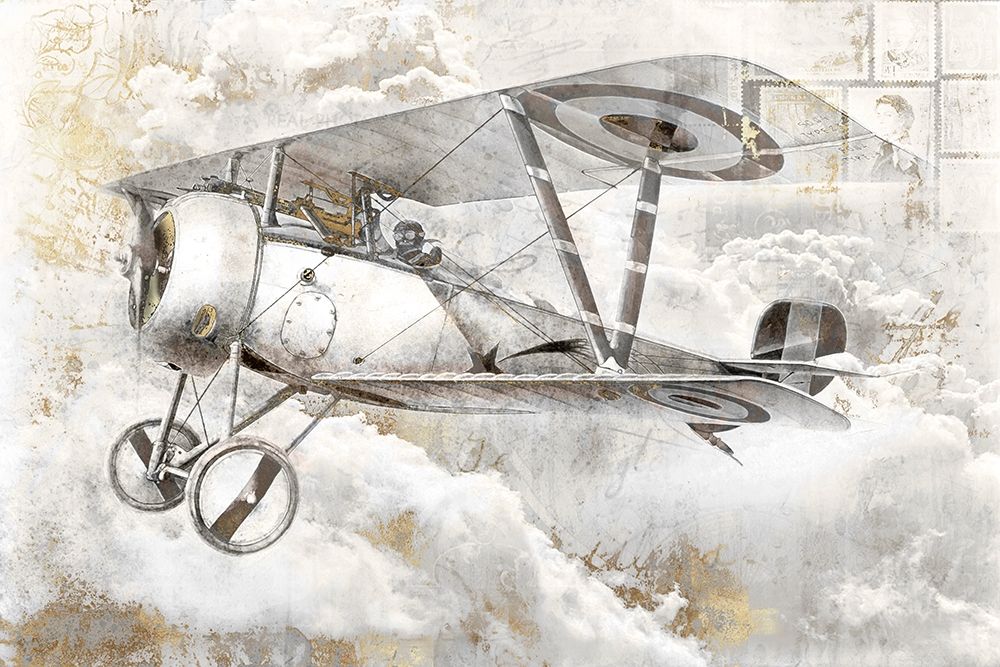 Airplane II Poster Print by Roozbeh Roozbeh # OZ015A