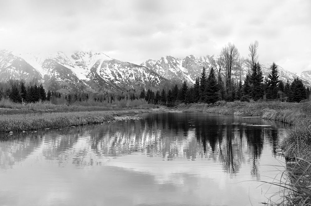 Tetons at Schwabachers Landing by Lori Deiter - Item # VARPDXLD2437