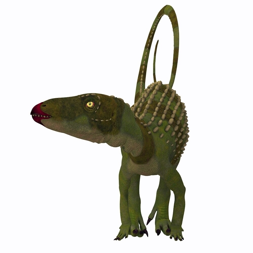 Posterazzi Scutellosaurus dinosaur  front view. Poster Print by Corey Ford/Stocktrek Images