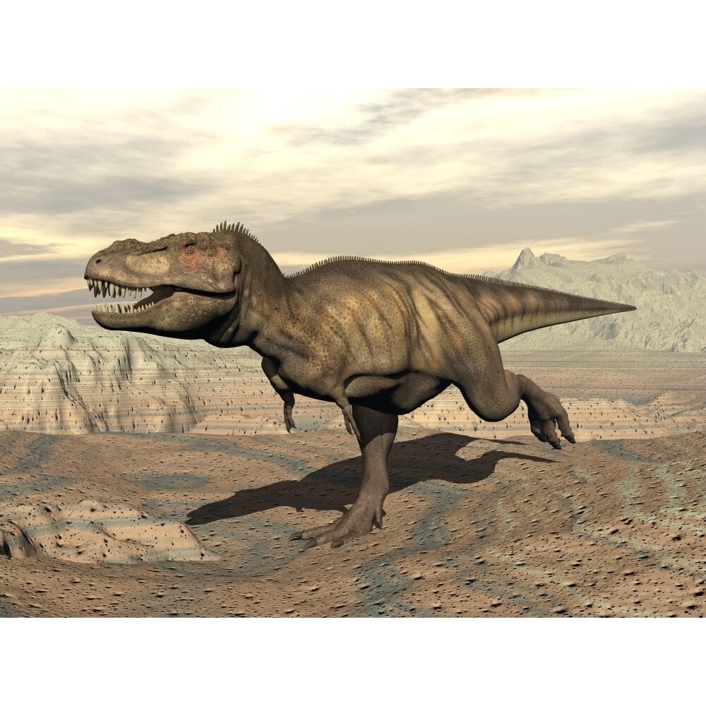 Posterazzi Tyrannosaurus Rex dinosaur running across rocky terrain Poster Print