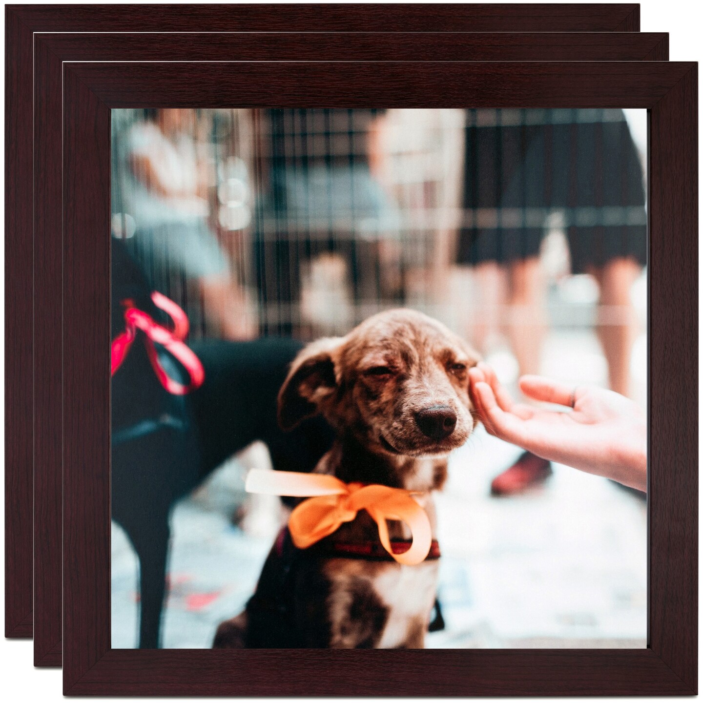 ArtToFrames 8.5x11 Inch Modern Picture Frame, Multi Pack, Comes with Regular Glass (WOMPack-46-8.5x11)