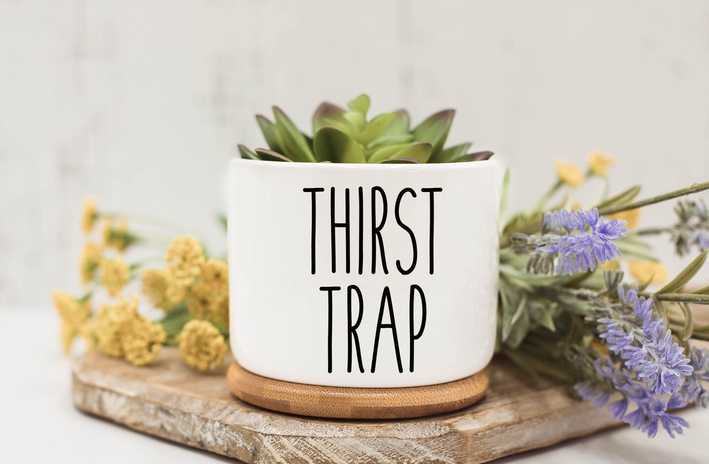 Thirst Trap, Succulent Pots, Succulent Planter with Drainage,Funny