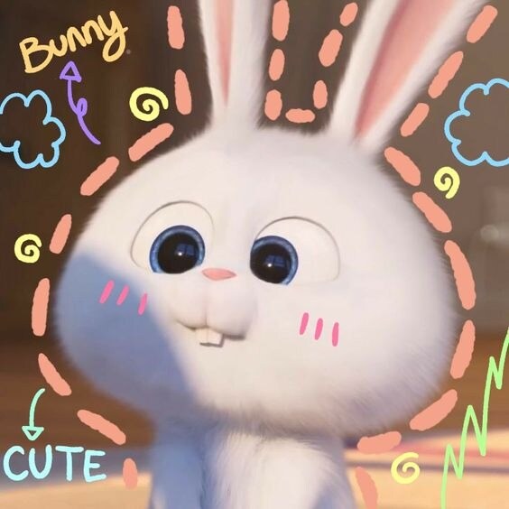 RabbitRibbon Thumbnail