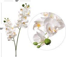 12-Pack: White Phalaenopsis Orchid Spray with 16 Silk Flowers, Floral Home by Artificial Flowers