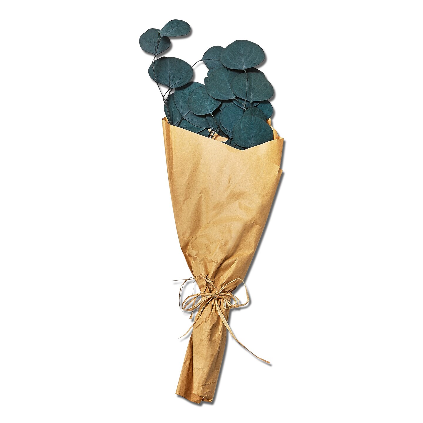 Natural Dried Plants Flower Eucalyptus Bunch Blue, 20 inch. Indoor Door Use Only