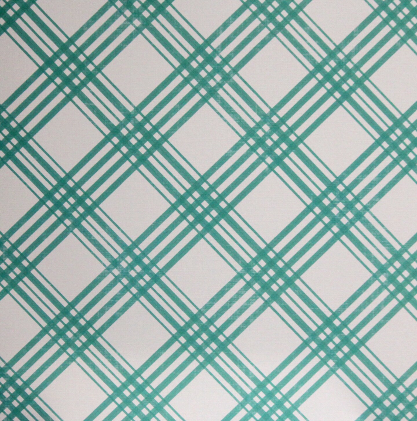 Preppy Petals Teal Blue Plaid 12 x 12 Lt. Textured Cardstock Paper