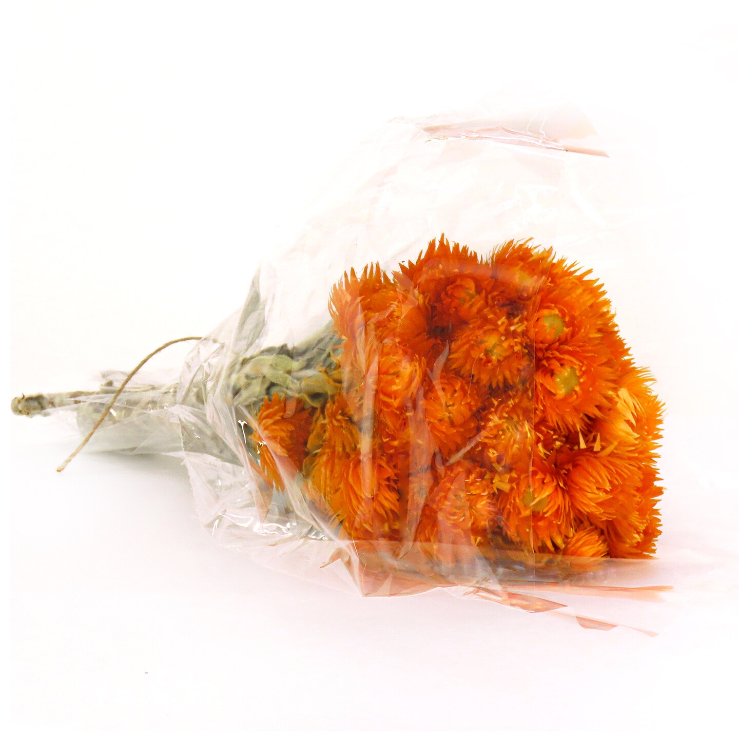 National Tree Company 16&#x22; Dried Orange Capeblumen Flowers Bouquet