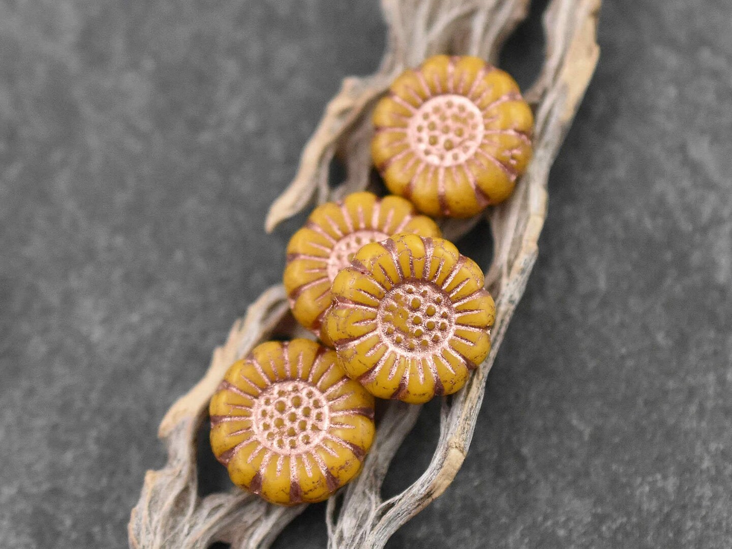 12 13mm Copper Washed Opaque Light Orange Sunflower Coin Beads