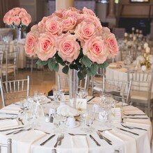 Pink Queen Anne Rose Stem - 12-Pack, Silk Foliage, Lifelike Blooms, Perfect for Floral Arrangements, Events &#x26; Home D&#xE9;cor - Ideal for All Seasons, Floral Home by Artificial Flowers