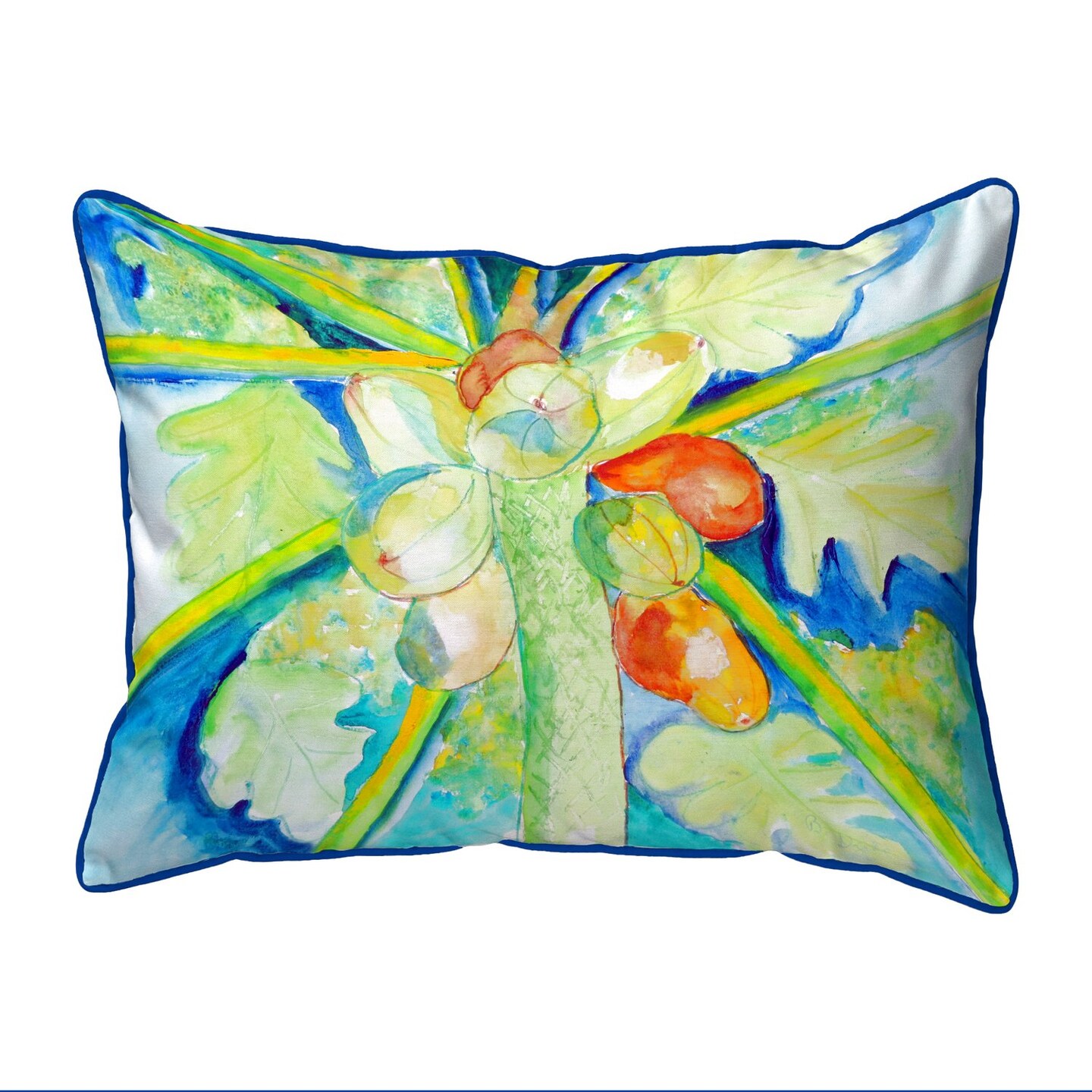 Betsy Drake Big Cocoa Nuts Extra Large Zippered Indoor/Outdoor Pillow 20x24