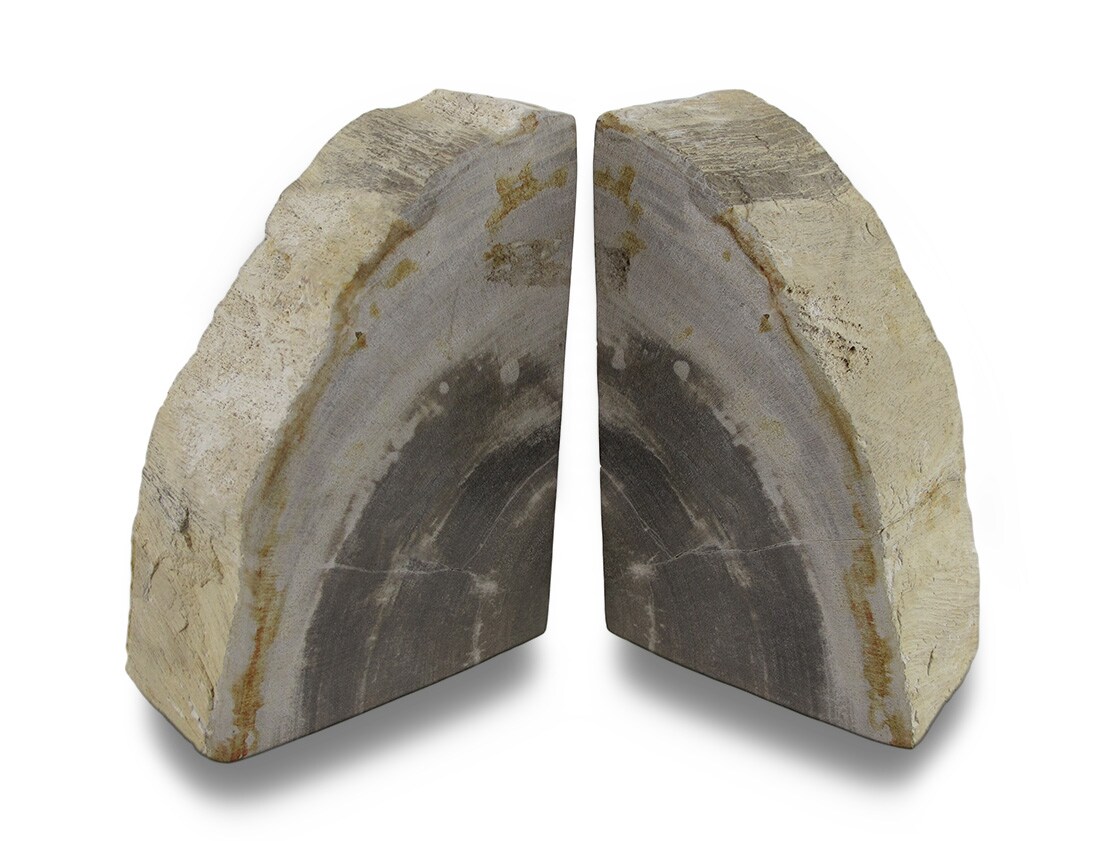 Indonesian Palmwood Light Color Petrified Wood Bookends 6-8 Pounds