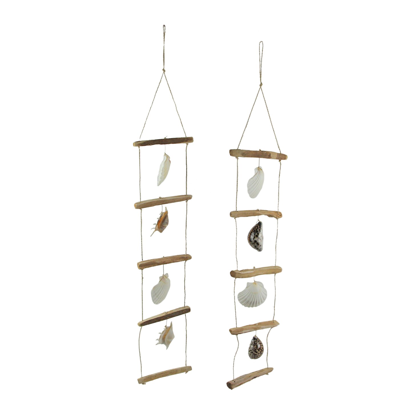 Scallop Sea Shell Driftwood Ladder Hanging Nautical Sculpture Beach Nautical