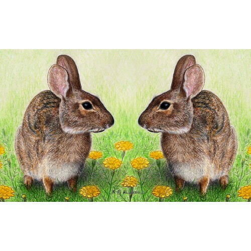 Betsy Drake Rabbits 30 X 50 Inch Comfort Floor Mat