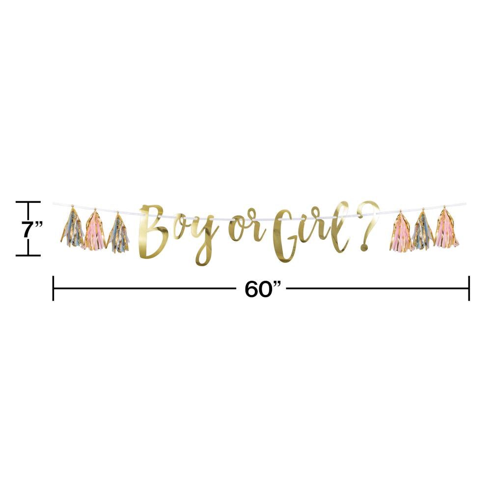 &#x22;Boy Or Girl?&#x22; Pink, Blue &#x26; Gold Tassle Banner