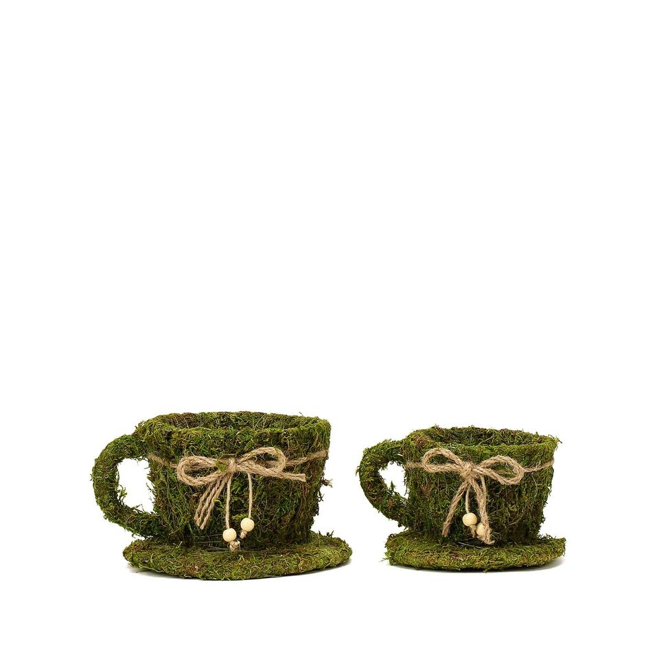 2 Green Natural Moss Teacups Planter Boxes Ribbons