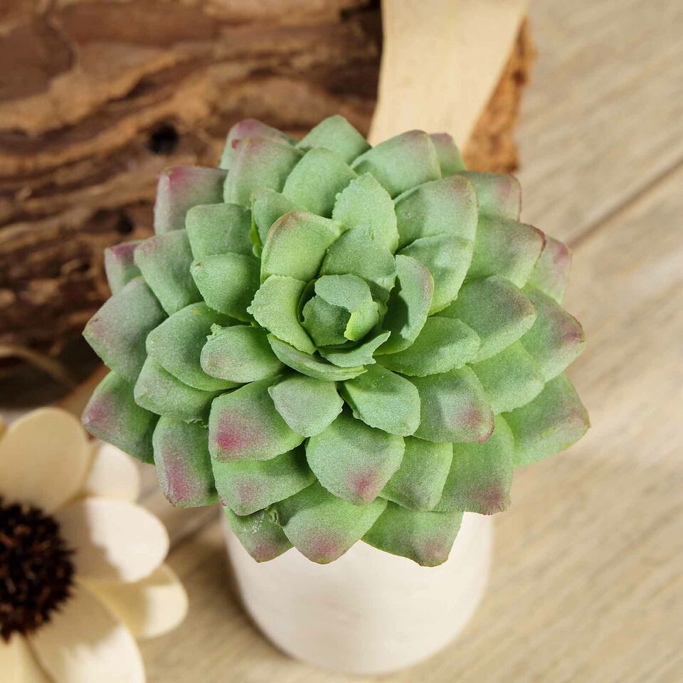 Green 3 Assorted 3&#x22; Faux Echeveria Rosettes Succulent Sprays Stems