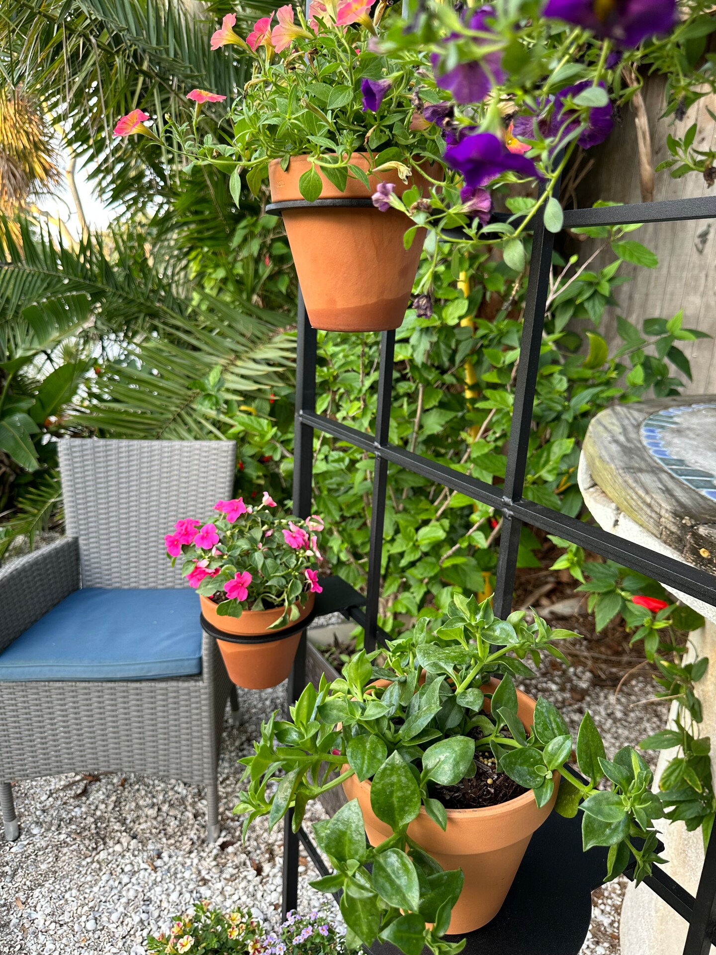 Metal Ring Pot Holders for Trellis, Hangs on Trellis cross bars or Metal Ring Pot Holders for Trellis, Hangs on Trellis cross bars or