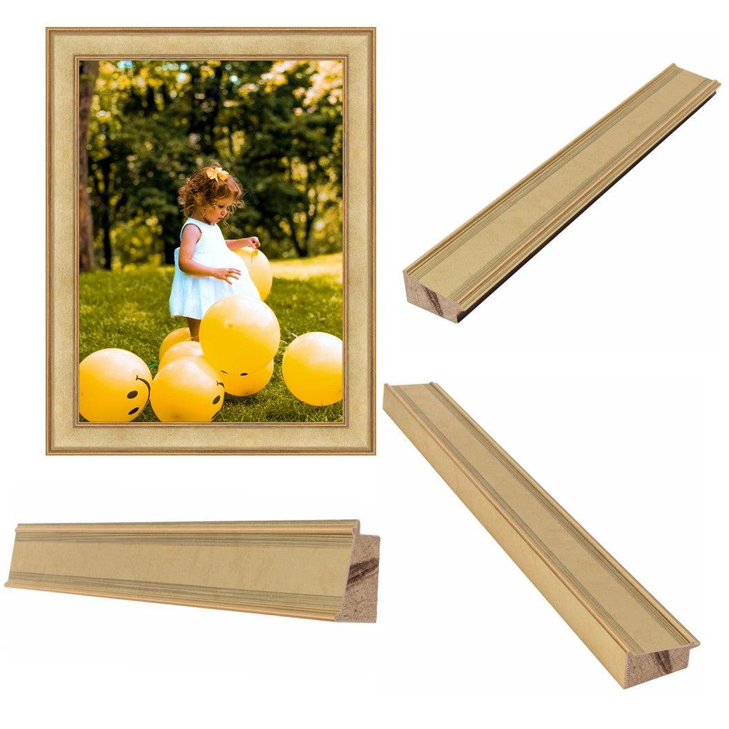 Contemporary Champagne Picture Frame - Modern Framing