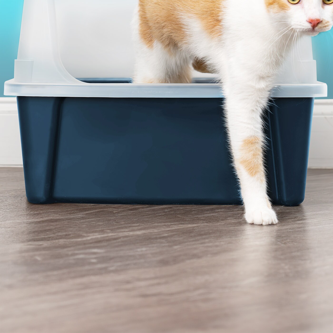IRIS USA Extra Large Open Top Cat Litter Box with Scatter Shield, Sturdy Easy to Clean Open Air Kitty Litter Pan with Tall Spray