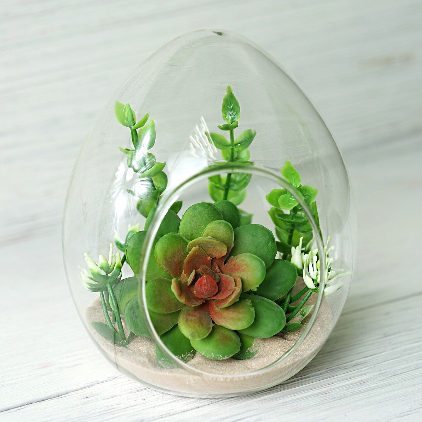 6 CLEAR Glass Egg Terrariums CENTERPIECE