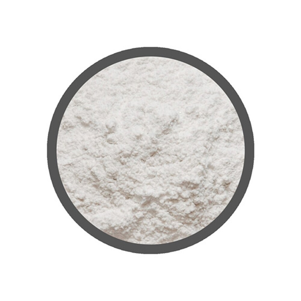 PLMX010 Plastermix Plaster Paris Casting Compound 1 kg (2.2 lb) Arctic White