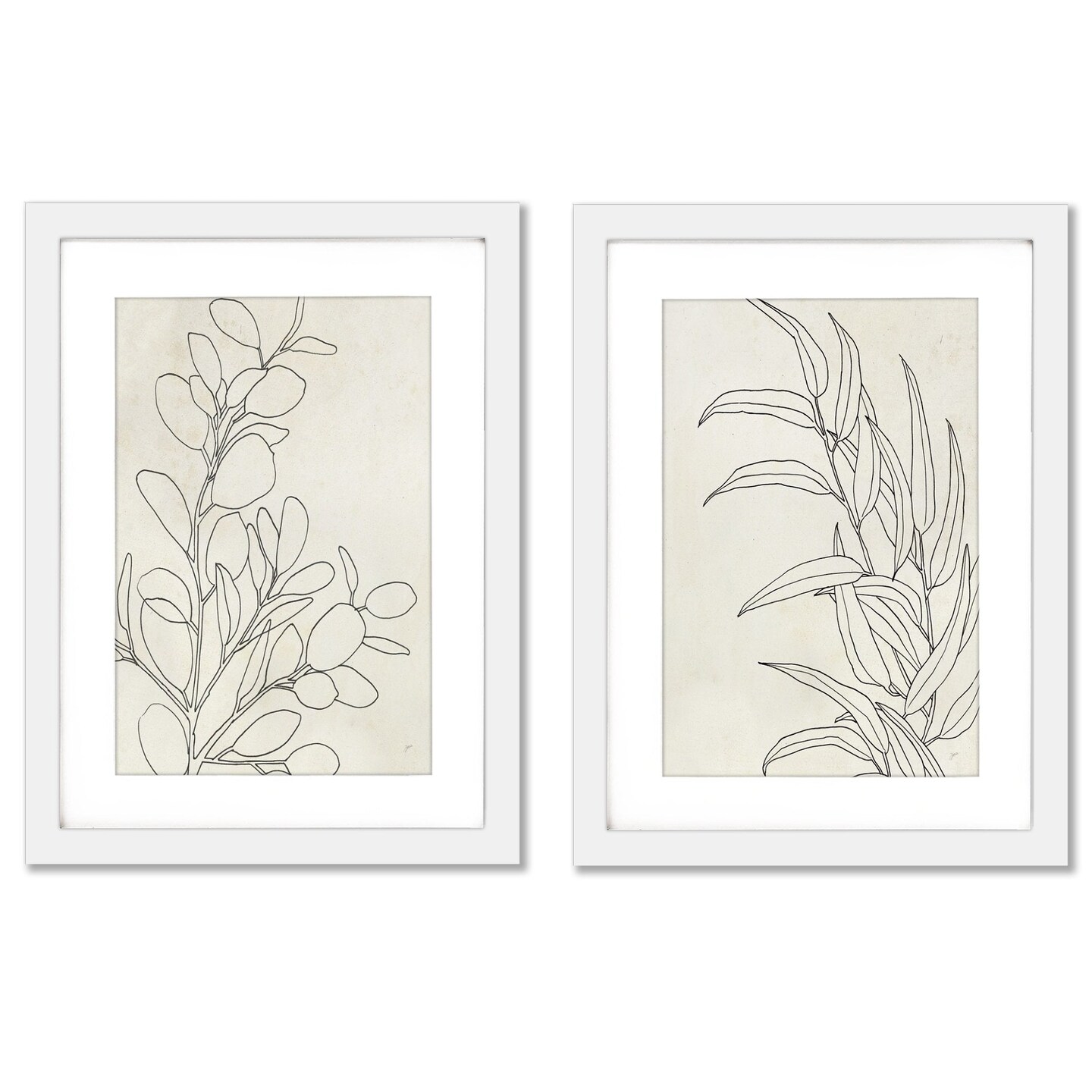 Botany Sketches by Karyn Panganiban - 2 Piece Gallery Framed Print Art Set